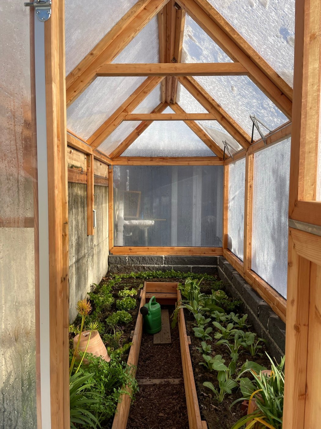 Lucama-Gewächshaus im Garten einer Kundin oder eines Kunden