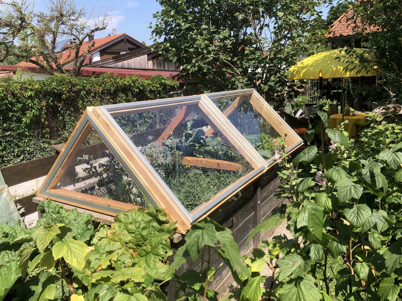 Lucama-Gewächshaus im Garten einer Kundin oder eines Kunden