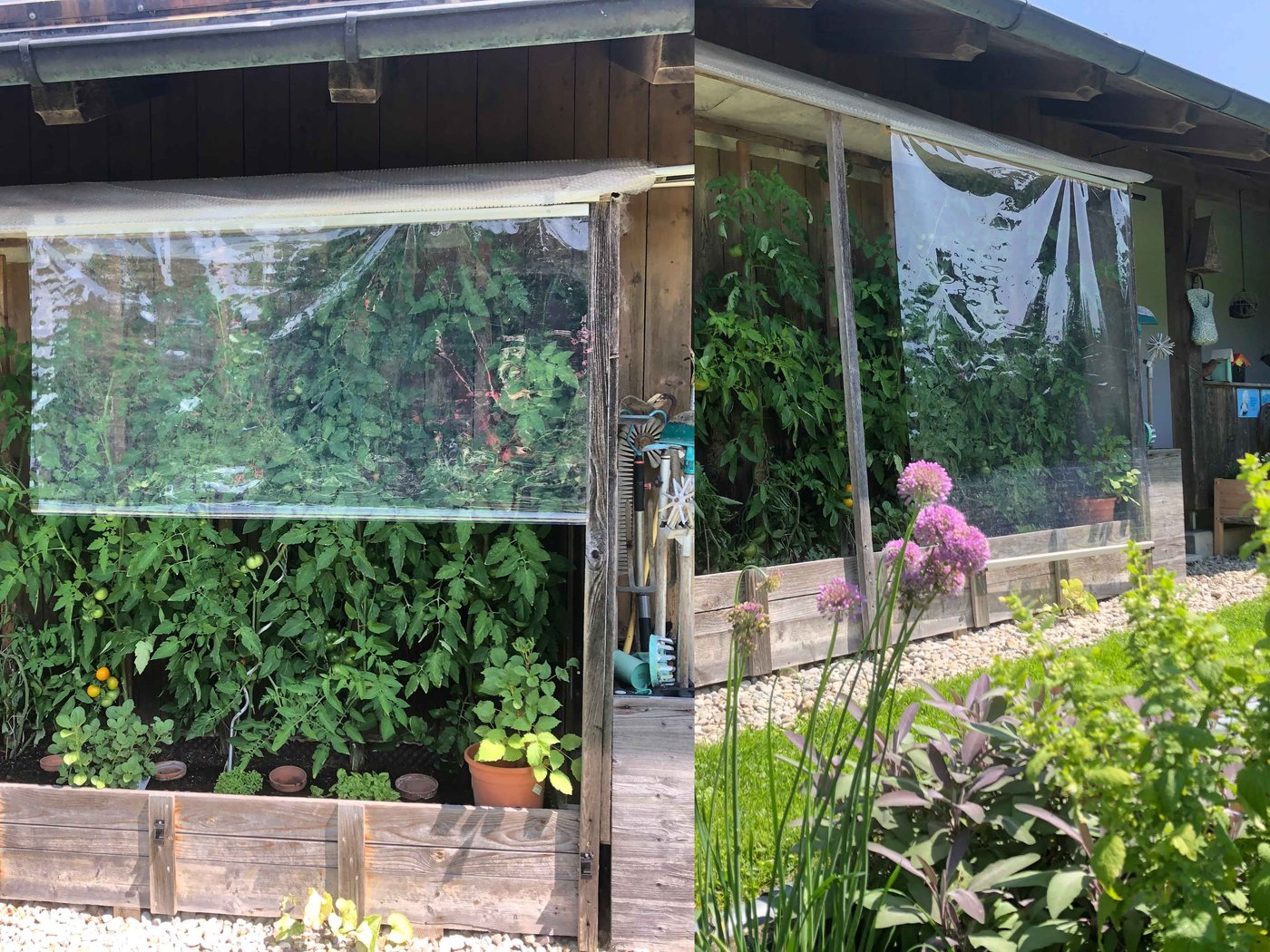 Lucama-Gewächshaus im Garten einer Kundin oder eines Kunden